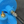 Purge Hose