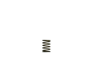 Turbosmart - WG38/40 GenV External Wastegate Springs - Goleby's Parts | Goleby's Parts