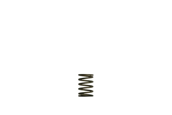 Turbosmart - WG38/40 GenV External Wastegate Springs - Goleby's Parts | Goleby's Parts