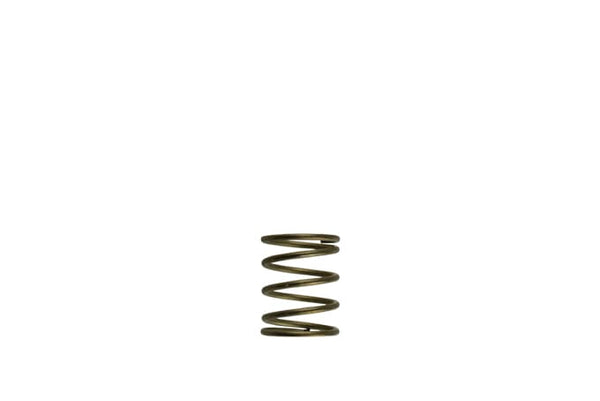Turbosmart - WG45/50 GenV External Wastegate Springs - Goleby's Parts | Goleby's Parts
