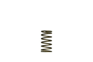 Turbosmart - WG60 GenV External Wastegate Springs - Goleby's Parts | Goleby's Parts