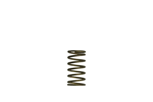 Turbosmart - WG60 GenV External Wastegate Springs - Goleby's Parts | Goleby's Parts